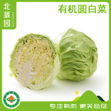 北菜园有机圆白菜400g 卷心菜包菜新鲜蔬菜【进店多样加购】北京延庆