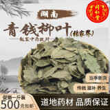 北京同仁堂中草药材青钱柳叶 张家界精选青钱柳原叶古树金钱柳青钱柳养生茶500克 500g