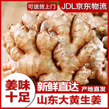 鲁韵忆乡【产地直发】山东潍坊大姜生姜干姜老姜农家自种 新鲜蔬菜 精选大姜 5斤