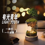 丘辰苔藓微景观生态瓶DIY办公室内桌面绿植摆件造景花卉盆栽生日礼物 有光青年（小夜灯）