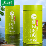 五云村信阳毛尖2025新茶绿茶茶叶特级春茶明前头采250g源头直发
