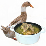 初土记 老鸭2斤/只 土鸭大湖活水放养麻鸭 720天母鸭水鸭新鲜现杀原产地 2年老鸭