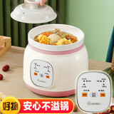 源趣 陶瓷电炖锅全自动微电脑煲汤锅熬煮粥锅宝宝婴儿辅食燕窝电炖盅1.8升月子炖煮锅广式煲汤养生锅 粉色 3.8L 预约快慢款【适合2-6人】