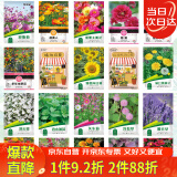 花沃里20款花种子套餐 花卉种子组合太阳花凤仙花向日葵四季种野花