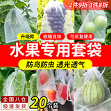 昙蓓漫水果套袋专用防鸟罩防虫套袋网罩黄桃套袋网兜梨子桃子苹果专用 红绳15x10cm（可装草莓李子） 【20个装/防虫防鸟透光透气】
