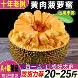 幽果匠海南黄肉菠萝蜜干苞当季新鲜一整个大树木菠萝生鲜三亚特产波罗蜜 14-16斤【实惠爆甜老树果】