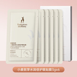 袋鼠妈妈准孕妇面膜旅行装化妆品眼贴膜赠品滋润补水保湿敏感肌可用护肤品 小麦眼贴膜6片