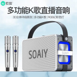 索爱（soaiy）K55 蓝牙音箱超重低音炮大功率立体声广场舞便携式无线户外双麦K歌音响直播声卡 珊瑚灰