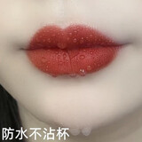 GOVO不沾杯不掉色的保湿持久防水口红持久囗 红豆沙色 #G01糖浆番茄口红_Aten