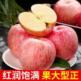 【超级低价】红富士苹果正宗洛川苹果新鲜脆甜水果冰糖心整箱批发 实惠小果【50-60mm】净重4.5斤装 限时特卖：只剩00:05分