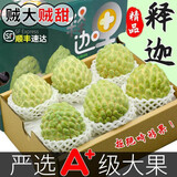 采缇（CAITI）现货大目凤梨释迦果5斤 新鲜番荔枝佛头果水果孕妇整箱 精选五斤大果（8-10个）