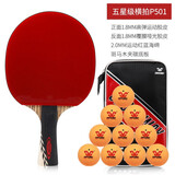 克洛斯威（CROSSWAY）乒乓球拍六星双面反胶业余中高级攻守兼备专业比赛训练 【标准五星1支装】横拍+10个球