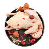 新食道富硒新鲜乳鸽鸽子肉农家散养老鸽子 生鲜家禽 400g净重单只（冷冻）