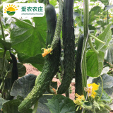 爱农 北京昌平基地直发 自然成熟新鲜蔬菜水果 黄瓜3斤 
