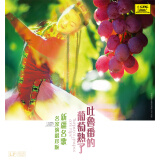吐鲁番的葡萄熟了——新疆名歌名家演唱珍版 黑胶唱片LP