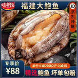 鲍鱼鲜活特大冷冻鲍鱼生鲜大鲍鱼500g   烧烤火锅原材料海鲜生鲜 大号鲍鱼9粒装 一斤一袋家庭装