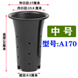 侬景园兰花专用盆 塑料兰花盆批发加厚加高大号兰花花盆透气排水兰草盆 中号(外口径17厘米)