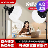 神牛（Godox） SL60D/BI二代双色温直播补光灯LED摄影灯视频常亮美颜拍照摄影棚打光柔光灯 【1】SL60W升级-单灯头 D白光版