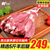 陇象甘肃环县羊羔肉羊前后腿去骨肉羊排烧烤火锅食材羊肉生鲜羊蝎子 5斤羔羊带骨后腿肉+1袋炖肉包