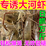老偏方抓河虾饵料河虾诱饵强力诱食剂老偏方爆笼饵料捕虾灵鱼虾黄鳝通用 一袋