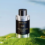 蒂诺邦星空顶车载香薰雾化满天星氛围灯汽车香水智能自动喷雾高档香氛 【补充液】桂花50ml