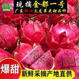 红心火龙果广东茂名金都一号水果新鲜现摘果肉鲜甜多汁精选大果 【大果】单果约8两以上 5斤