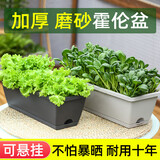 尚洋霍伦种菜花盆小号(灰色*2)家庭育苗神器塑料盆室内阳台植物种植箱