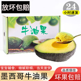 京遇良橙墨西哥新鲜牛油果 精品巨无霸进口新鲜水果 8个特级巨无霸【单果180-200g】