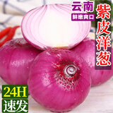紫皮洋葱新鲜脆甜圆葱蔬菜红皮特产农家 净重5斤（单果150g+）