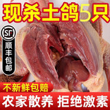 乳鸽生鲜 正宗三年老鸽子 冷冻新鲜鸽子肉农家散养土鸽子煲汤鸽子 乳鸽3只【每只约400g】
