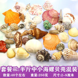 曦凰天然贝壳海螺壳海星珊瑚石儿童玩具装饰鱼缸造景DIY卷贝鱼寄居蟹 套餐二:半斤中小海螺贝壳混装