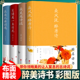 醉美诗书系列 正版全4册 醉唐诗+美是诗经宋词是一朵情花元曲销魂 中国浪漫文学古诗词唯美典藏版散文解读诗词 枕上诗书文学鉴赏古诗词书籍