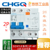 广州珠江DZ47LE漏电保护器 2P63A32a空气开关断路器电闸开关 2P 63A