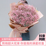 幽客玉品鲜花速递满天星花束礼盒表白送女友老婆生日礼物全国同城配送 粉色满天星熊抱超大花束