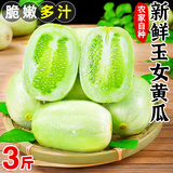 土地母亲计划 圣女果水果黄瓜小柿子千禧小西红柿茄瓜果小黄瓜小青瓜代餐轻食 3斤 拇指玉女黄瓜