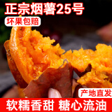 山东烟薯25号新鲜沙地红薯糖心地瓜蜜甜薯番薯小香薯 中果4.5斤（单果约3-8两）