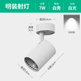 祎琳明装射灯可调角度单个家用小吸顶式轨道灯聚光射灯LED天花灯筒灯 COB高显款【白壳】7W白光