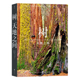 树：天地之间 承载近300张绝美照片，穿插有四幅超长拉页，以覆盖桌面的磅礴气势，奔赴生命的壮美奇观
