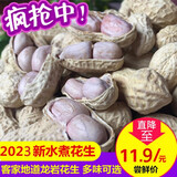 八闽风2025新货福建龙岩水煮花生咸干晒干盐水蒜香炒五香味带壳农家特产 水煮晒干5斤