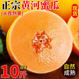 枝遥（ZHIYAO）陕西现摘黄河蜜瓜10斤哈密瓜【脆甜黄金蜜瓜】新鲜甜瓜整箱 黄河蜜瓜  5斤装