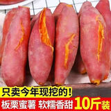 【今日特价】沙地红薯西瓜红蜜薯新鲜蔬菜板栗薯黄心山芋番薯批发 【精选红薯】9斤装 优质大果