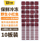 共度（Gong Du）冷冻红虫丰年虾赤虫冰冻卤幼牛心汉堡珍珠虾观赏鱼小型鱼鱼食饲料 保鲜冷冻小红虫10板（240颗粒）