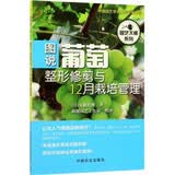 图说葡萄整形修剪与12月栽培管理/园艺大师系列 农技推广 农户增收 返乡创业 种植技术 田间管理