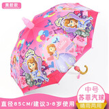 惟缇儿童雨伞s宝宝具幼儿园小孩学生男女童卡通自动防水套长柄小伞 中号皇冠苏菲-口哨+防水套
