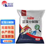 南华千牧除藻剂蓝藻分解素水产养殖小龙虾蟹鱼塘蓝藻分解酶除蓝藻毒净 蓝藻分解酶/500g/袋