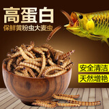 森森（SUNSUN）龙鱼饲料血鹦鹉鱼食大麦虫热带鱼发财鱼鱼粮罗汉鱼饲料 锁住鲜 大麦虫420g 适合各种中大型鱼