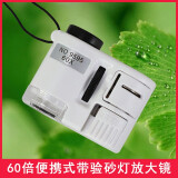 Datyson 手持式小型显微镜60倍NO.9595高清光学镜头带灯和紫验钞灯放大镜