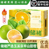 储褚 云南新鲜橙子 储褚冰糖橙礼盒装 哀牢山甜橙 水果生鲜顺丰发货 5斤一级M（约22个左右）