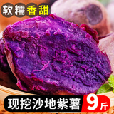闽农语果紫薯沙地新鲜采摘代餐粗粮紫薯地瓜薯蜜薯红薯地瓜健身番薯地瓜 【促销装】5斤 单果3-6两 【代餐好薯】