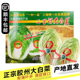 沃鲜谷【顺丰】山东胶州三里河大白菜 火锅炖菜 新鲜当季蔬菜 5斤 1颗 | 礼盒